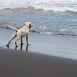 su primer dia de playa.....